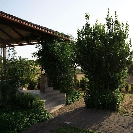 Accogliente Villa Con Piscina Caltagirone Exterior photo