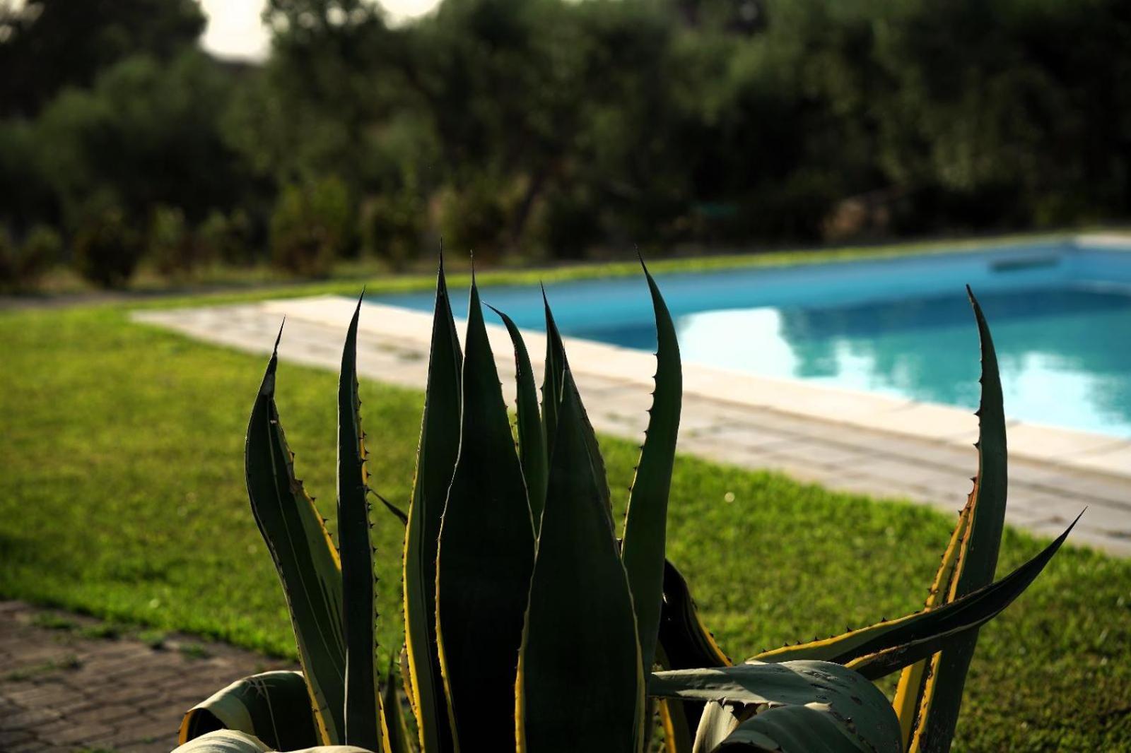 Accogliente Villa Con Piscina Caltagirone Exterior photo