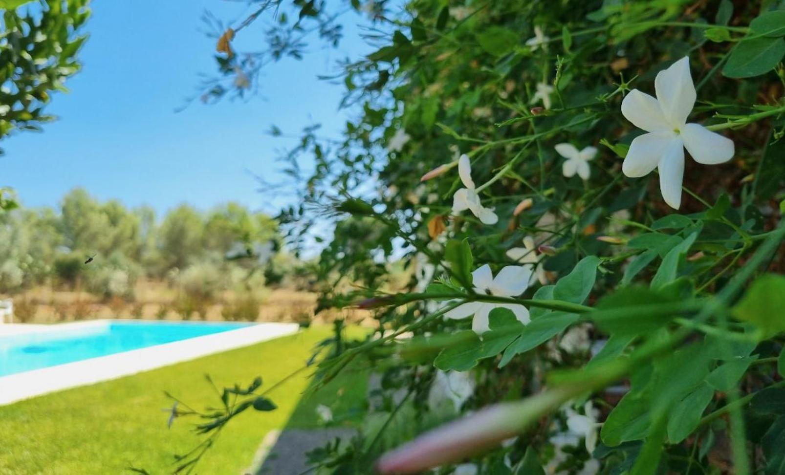 Accogliente Villa Con Piscina Caltagirone Exterior photo
