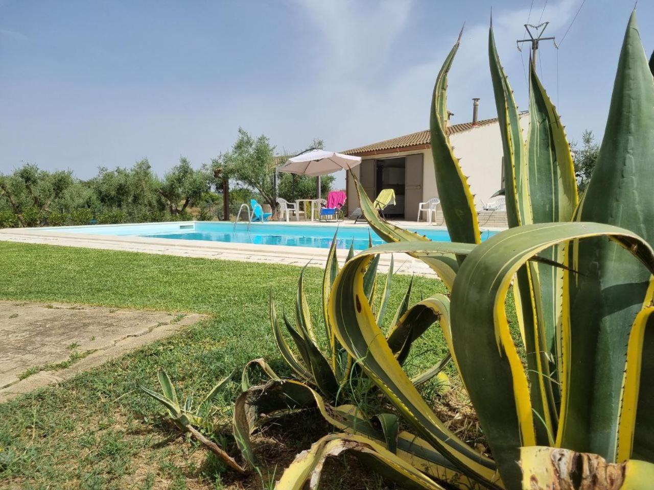 Accogliente Villa Con Piscina Caltagirone Exterior photo
