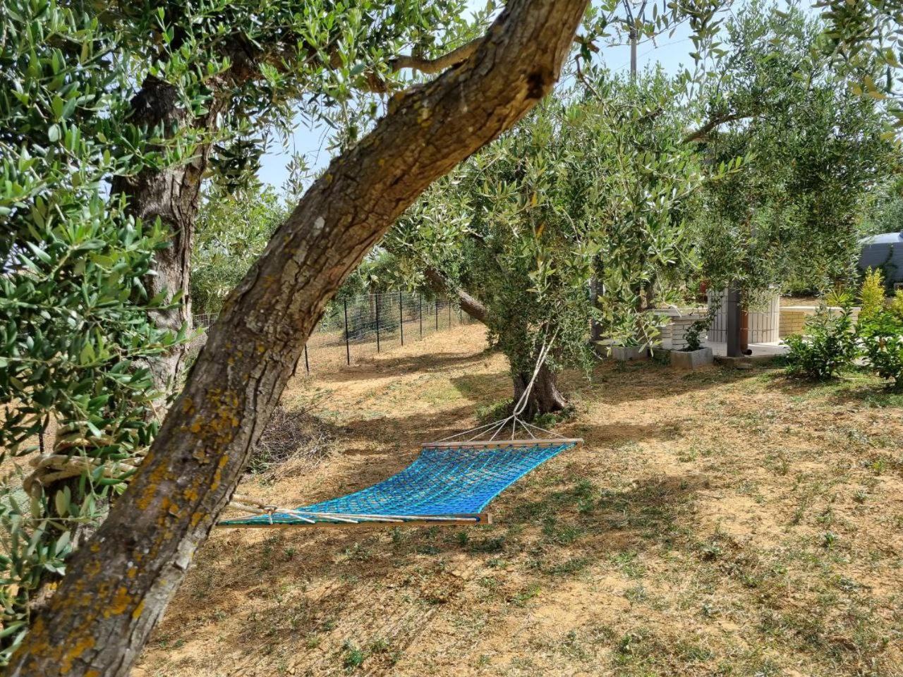 Accogliente Villa Con Piscina Caltagirone Exterior photo